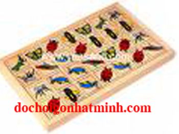 Bộ chơi cờ domino côn trùng